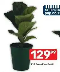 Pick n Pay Green plant small offer