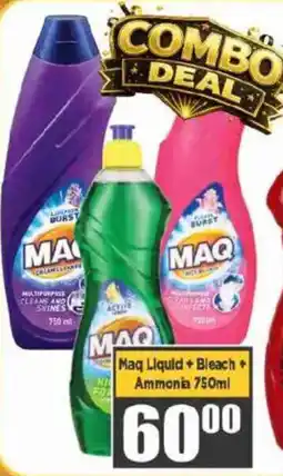Big Save Maq Liquid, Bleach and Ammonia offer