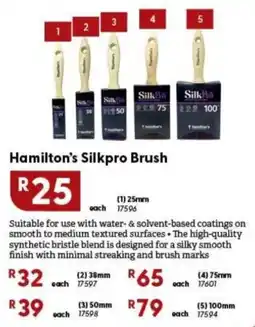 Brights Hardware Hamilton's Silkpro Brush offer