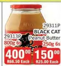 KitKat Cash and Carry BLACK CAT PEANUT BUTTER offer