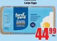 Boxer Large eggs offer