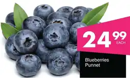 Save Hyper Blueberries Punnet offer