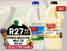 Take 'n Pay Spring meadow milk or maas offer