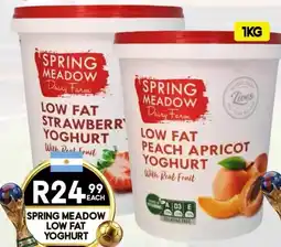 Take 'n Pay Spring Meadow Low Fat Yoghurt offer