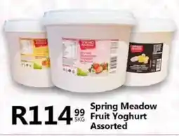 Take 'n Pay Spring Meadow Fruit Yoghurt Assorted offer