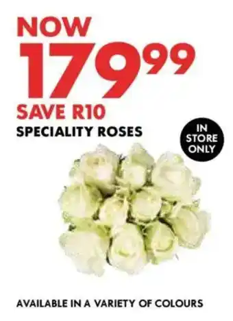 Speciality roses
