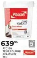 Easy Build Plascon True Colour offer