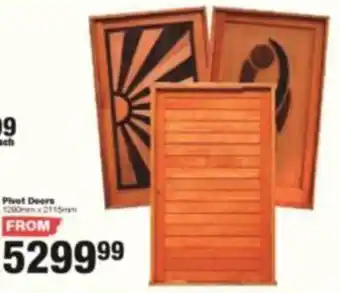 Pivot Doors