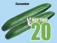 Boxer Cucumber offer