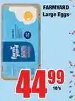 Boxer Large eggs offer