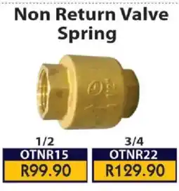 Laduma Hardware catalogue Non Return Valve Spring offer