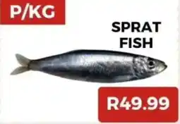 Saverite SPRAT FISH offer