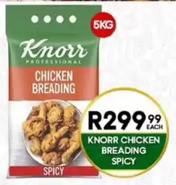 Take 'n Pay Knorr Professional Chicken Breadding Spicy offer