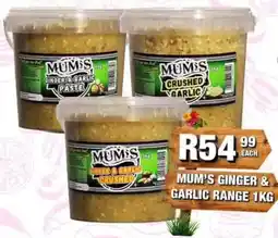 Take 'n Pay Mum's ginger & garlic range offer