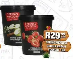 Take 'n Pay Spring Meadow Double Cream Yoghurt offer