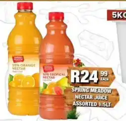 Take 'n Pay Spring Meadow Nectar Juice Assorted offer