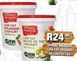 Take 'n Pay Spring Meadow Low Fat Yoghurt Assorted offer