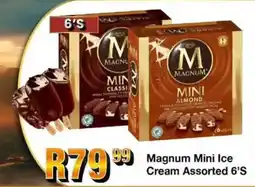 Take 'n Pay Magnum Mini Ice Cream Assorted offer