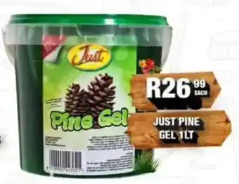 Take 'n Pay Just Pine Gel offer