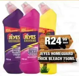 Take 'n Pay Jeyes Homeguard Thick Bleach offer