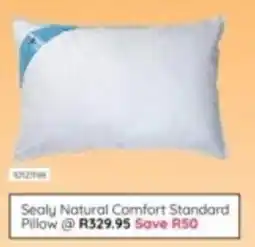 Bradlows Sealy Natural Comfort Standard Pillow offer