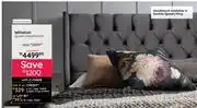 Bradlows Winston Queen Headboard 10265701001 offer