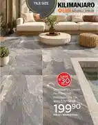 CTM Kilimanjaro Silver Quartz Charcoal Rectified Matt Porcelain Floor Tile-500 x 1000mm Per Sqm offer