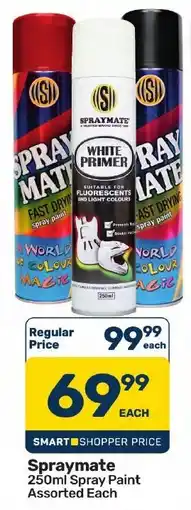 Pick n Pay Hypermarket Spraymate 250ml Spray Paint Assorted offer