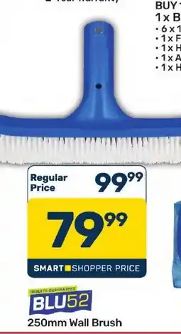 Pick n Pay Hypermarket BLU52 250mm Wall Brush offer