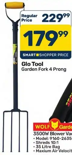 Pick n Pay Hypermarket Glo Tool Garden Fork 4 Prong offer