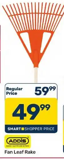 Pick n Pay Hypermarket ADDIS Fan Leaf Rake offer