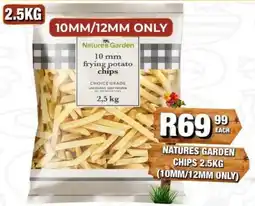 Take 'n Pay Natures Garden 10 mm frying potato chips offer
