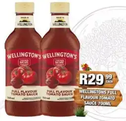 Take 'n Pay Wellington's Full Flavour Tomato Sauce offer