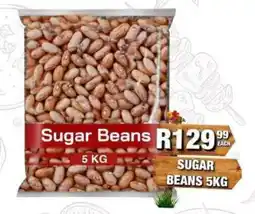 Take 'n Pay Sugar Beans offer