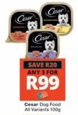 Checkers Cesar Dog Food offer