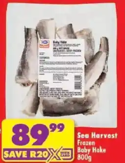 Shoprite Sea Harvest Frozen Baby Hake offer