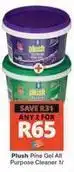 Checkers Plush - pine gel all purpose cleaner offer