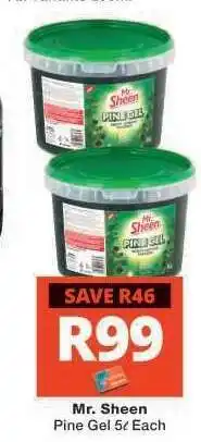 Checkers Mr. Sheen Pine Gel offer