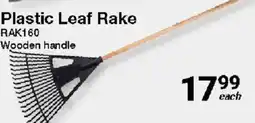 Mica Plastic Leaf Rake offer