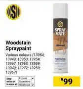 Builders Warehouse Spraymate Wood Stain Spray Paint 13954,13949,13963,13954,13967,13963,13959,13949,13972,13959,13967 offer
