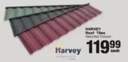 Build It Harvey Roof Tiles Assorted offer