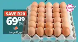 Checkers Large Eggs offer