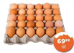 Check Star Large Eggs offer