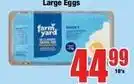 Boxer Large eggs offer