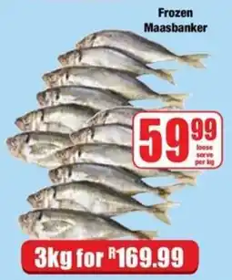 Boxer Frozen Maasbanker offer