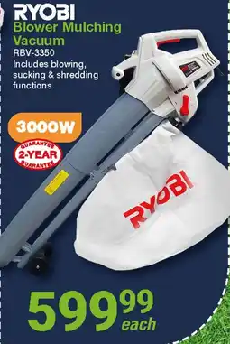 Mica RYOBI Blower Mulching Vacuum offer