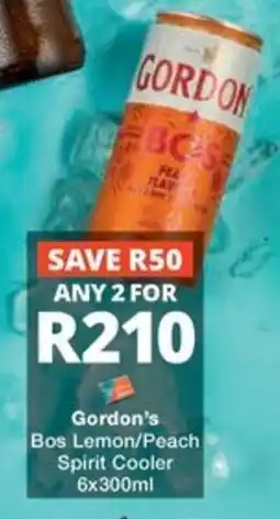 Checkers Liquor Shop Gordon's Bos Spirit Cooler offer