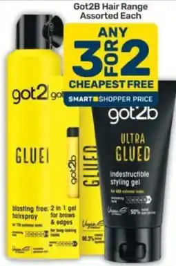 Pick n Pay got2b Hair Range Assorted offer