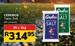 Jumbo Cerebos Table Salt offer