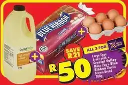 Shoprite Blue ribbon - large eggs, milk, brown bread offer